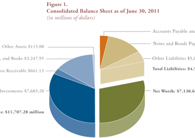 Figure 1. Consolidated Balance Sheet as of June 30, 2011